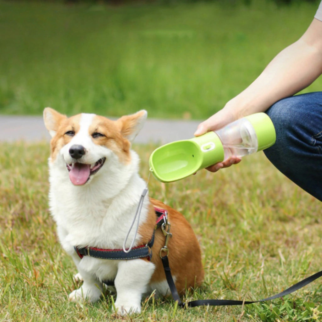 Copo de ração e água para animais de estimação